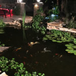 concrete koi pond