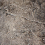 stained concrete floor 4