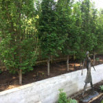 concrete retaining wall leawood