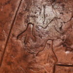 concrete staining overland park (2)