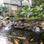 landscaped backyard koi pond kc